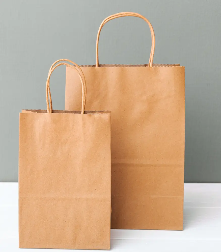 kraft bag image 1